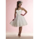 Dramatisch Chic|Modern Zielort A Linie|Prinzessin Spitze Kurze Brautkleider