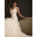 Sommer Zielort Gestupft Hohe|Imperium Organza Duchesse-Linie Brautkleid